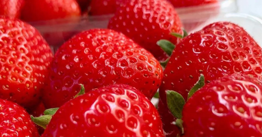 小川農場のいちご