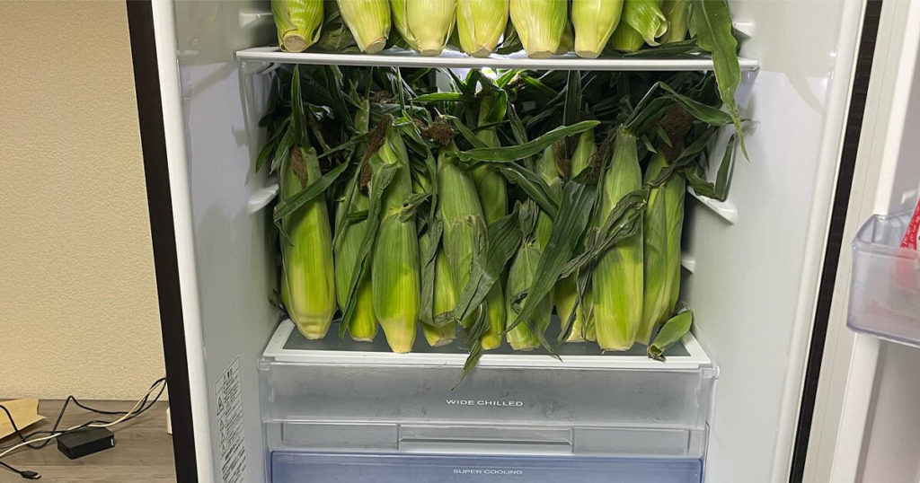 冷蔵庫いっぱいのとうもろこし