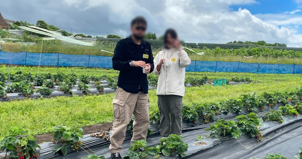 小川農場いちご狩りイベント2024　男女のツーショット